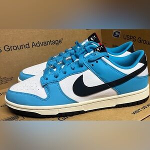 Nike Men's Dunk Low Next Nature 'N7'